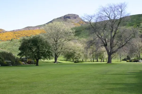 Visitors strolling through the serene pathways lined with a variety of plants and trees in the Palace of Holyroodhouse gardens.